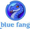 Blue Fang Games