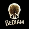 Bedlam Games Inc. organization image