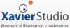 Xavier Studio resource image