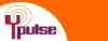 Youth Pulse organization image