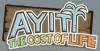 Ayiti: the Cost of Life
