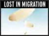 Lost in Migration