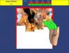 Stroke Rehabilitation