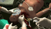 Interactive Trauma Trainer